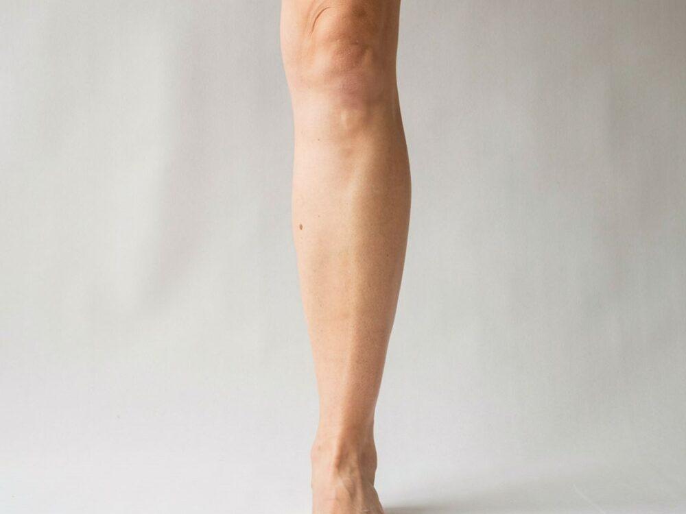 budowa anatomiczna nogi